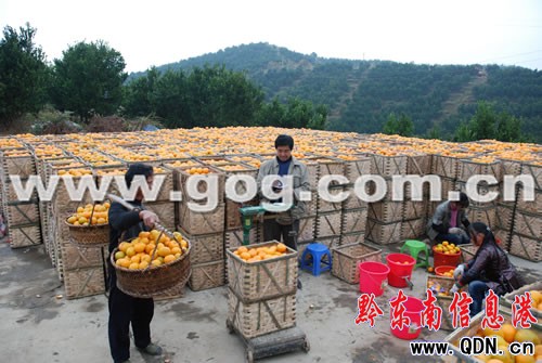 �Ľ�1014�f����ո��쿩���D��