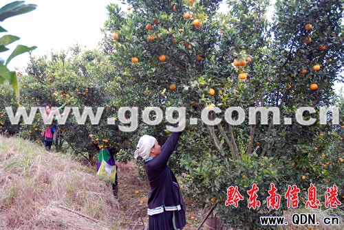 �Ľ�1014�f����ո��쿩���D��