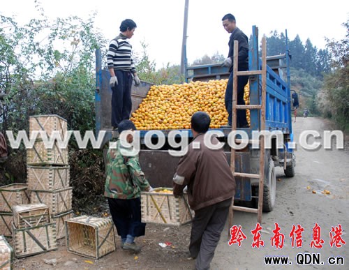 �Ľ�1014�f����ո��쿩���D��