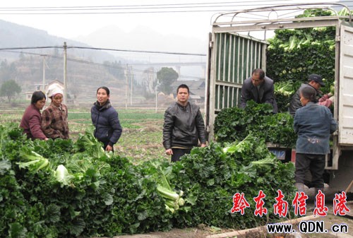 ��h�o�����߲��h�Nʡ���⣨�D��