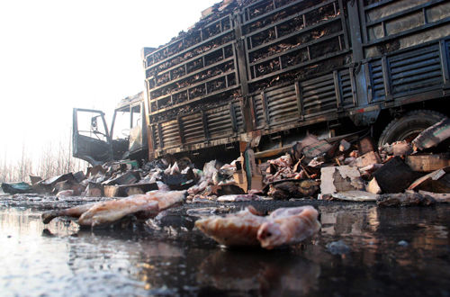 20���u�ȱ����죬߀�в����u��ɢ���ڹ�·�ϡ��D/����DƬ