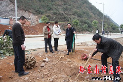 �P��WԺ�����x��ֲ��ӭ���꣨�D��