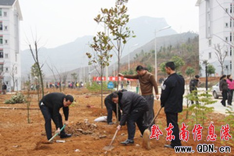 �P��WԺ�����x��ֲ��ӭ���꣨�D��