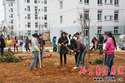 �P��WԺ�����x��ֲ��ӭ���꣨�D��