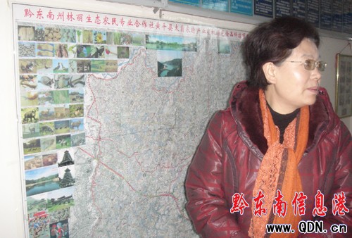 �n�ܣ��_�l(f��)�r(n��ng)�I(y��)�Ŀ�����ð��c�R�����M�D��