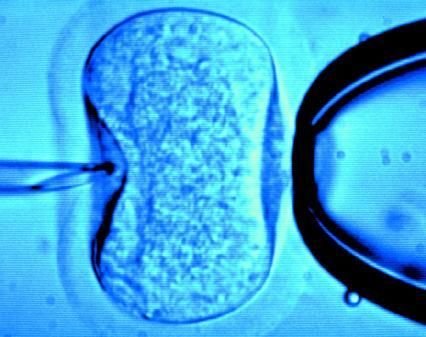 60�q�ϋD���ɞ�Ӣ������ԇ���ܾ������L��