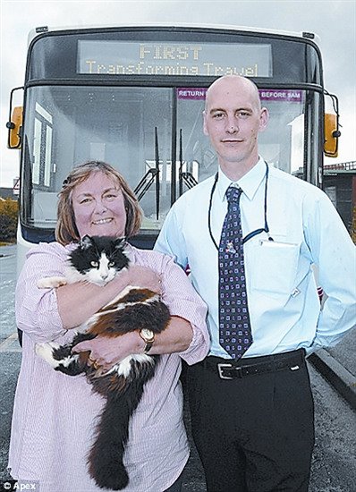 Ӣ��4���ÿ��������С؈��ײ��(�D)