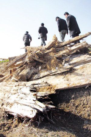 �S��G�����ľ�ײİ塣��� �z