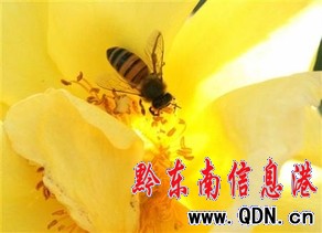 С�W��ץ�۷��UŮ��Ę���ܱ�����z2���(�D)