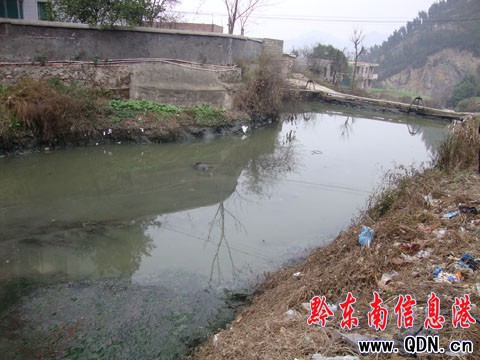 �P��һ����С��Ư����ʬ ���ݲ��������ƣ��D��