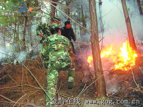 ���Ӱl(f��)��ɽ�𣨈D��