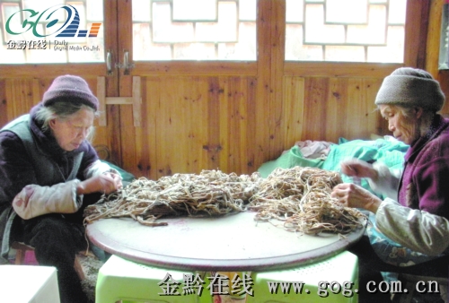 ���y��ˇ����һ������ �ŷ��켈���N��500�fԪ