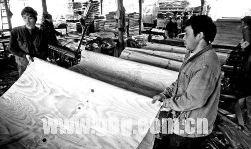 �������ǧ�r����T�ھ͘I���D��