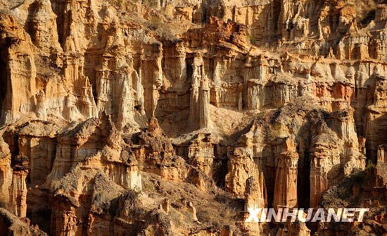 �M�D������Ԫ�\��������ǧ�˰ّB(t��i)