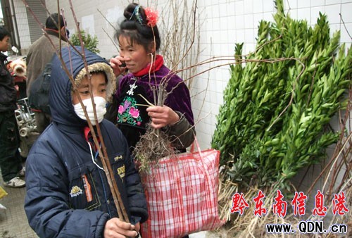 ��ɽ�r��ُ���Ƽ����䡱�L���^���D��