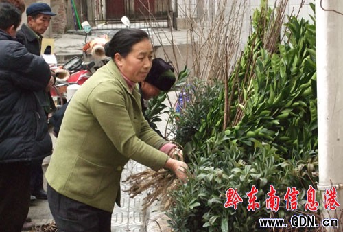 ��ɽ�r��ُ���Ƽ����䡱�L���^���D��