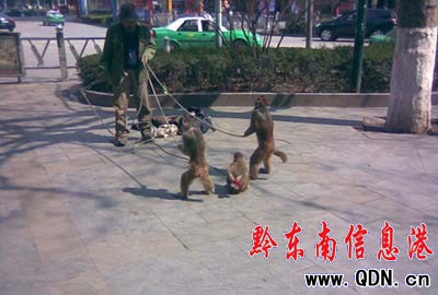 ��߅���R��ӑ���� �ɑz���ӱ��޴�(�D)