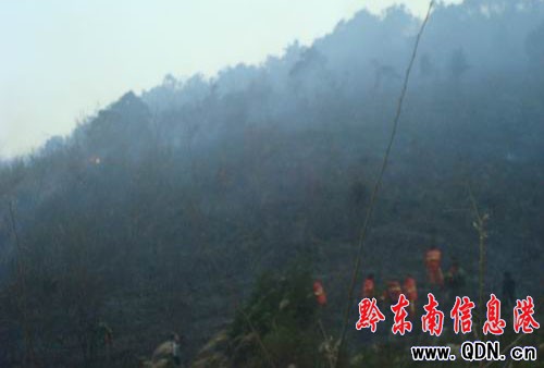 ���Ӱl��ɭ�ֻ�� ܊�����5С�r������(�D)