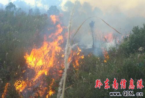 ���Ӱl��ɭ�ֻ�� ܊�����5С�r������(�D)