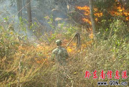 ���Ӱl��ɭ�ֻ�� ܊�����5С�r������(�D)