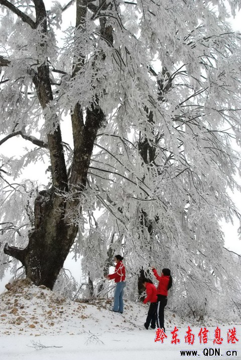 �׹�ɽ �´��p�Fڡ���M�D��
