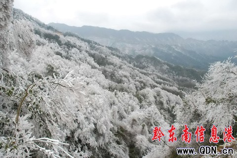 �׹�ɽ �´��p�Fڡ���M�D��