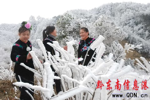 �׹�ɽ �´��p�Fڡ���M�D��