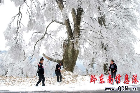 �׹�ɽ �´��p�Fڡ���M�D��