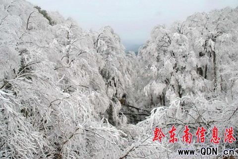 �׹�ɽ �´��p�Fڡ���M�D��