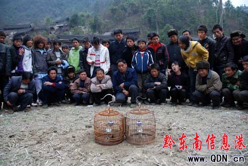 ���l�´����B�����M�D��