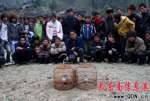 ���l�´����B�����M�D��