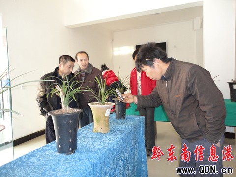 �Sƽ�e�k����(ji��)�m��չ���D��