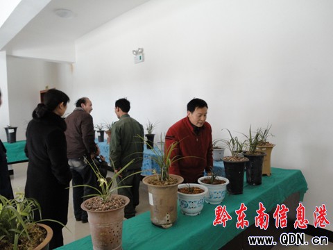 �Sƽ�e�k����(ji��)�m��չ���D��