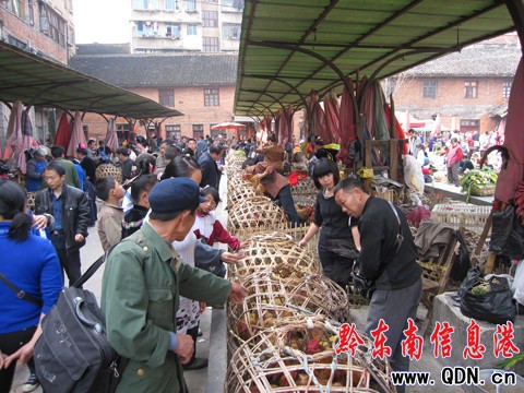 ��ɽ��Ԫ�����ѹ��r�Q�Ј�ُ�N��ᣨ�D��