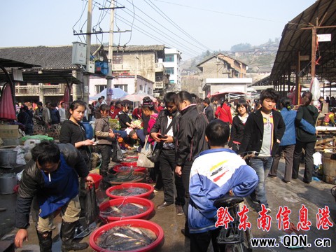 ��ɽ��Ԫ�����ѹ��r�Q�Ј�ُ�N��ᣨ�D��