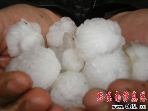 ��h6�l����ܱ����ĺ����M�D��