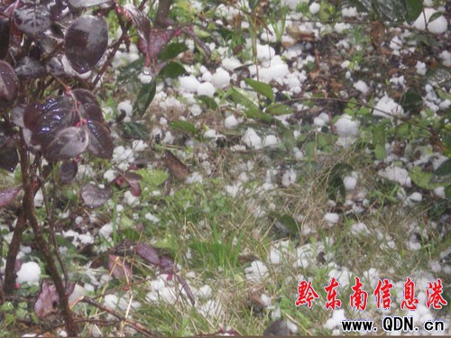 ��h6�l����ܱ����ĺ����M�D��