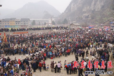 400���J���ëI�J������ ���l�n�Ð��ںη���