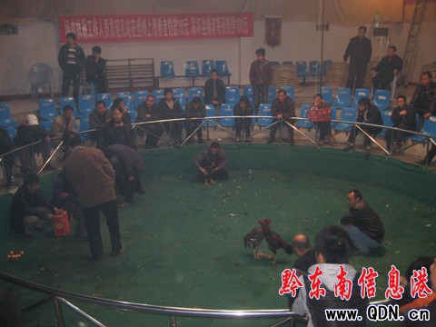 2010�Ї�•�P����������u����ِ�A�M�Y�����D��