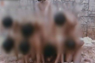 �n��(gu��)�Q�����Ա��������V�M�����w���I(y��)�cף�W(xu��)��