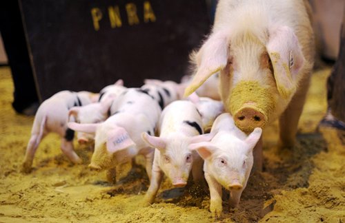 ���壺�w���߫F���[������