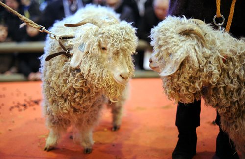 ���壺�w���߫F���[������