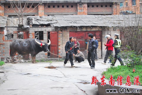 ��ţ���ӸZ���Ѕ^(q��) �����o��̎�óɹ����U(xi��n)���D��