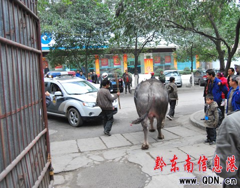 ��ţ���ӸZ���Ѕ^(q��) �����o��̎�óɹ����U(xi��n)���D��