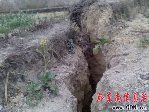 ��ɽ���Fɽ�w���� ���ֹ�·�ѱ����]���D��