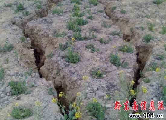 ��ɽ���Fɽ�w���� ���ֹ�·�ѱ����]���D��