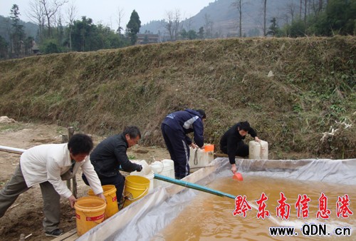 �Sƽ�l��Ⱥ�������Ծ�2000���˅��c���M�D��