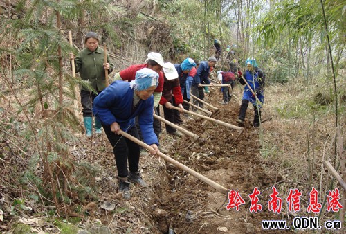 �Sƽ�l��Ⱥ�������Ծ�2000���˅��c���M�D��