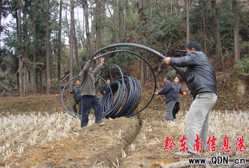 �Sƽ�l��Ⱥ�������Ծ�2000���˅��c���M�D��