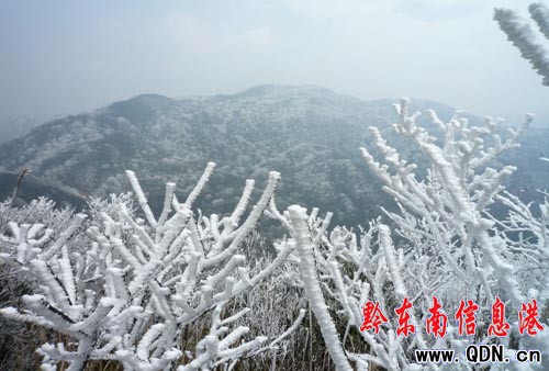 �ܵ�����Ӱ� �׹�ɽ���Fѩ���������M�D��